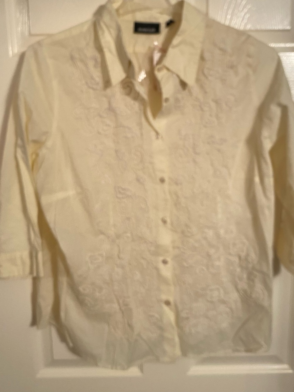 Avenue Cream Embroidered Button-Down Blouse